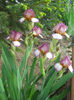 DSCN1559_065