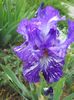 DSCN1545_051