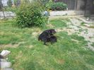 DSCN1407