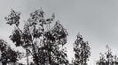 2014-04-27 12.59.19