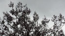 2014-04-27 12.59.24