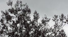 2014-04-27 12.59.28