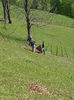 20140502_105437