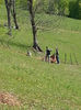 20140502_105527