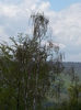 20140502_125828