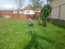 20140502_160439