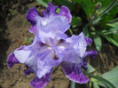 DSCN1571_002