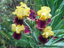 DSCN1574_005