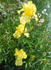 DSCN1578_009