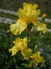 DSCN1579_010