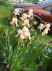 DSCN1584_015