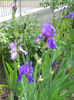 DSCN1575_006