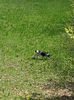20140502_105709
