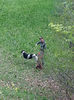 20140502_105742