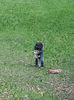 20140502_105757