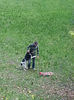 20140502_105804