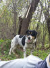 20140502_112837