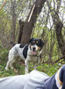 20140502_112841