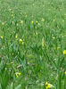 20140502_114719
