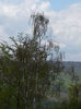 20140502_125828