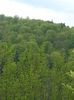 20140502_131341