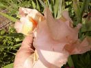 P1200450