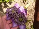 P1200475