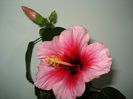 DSC08199