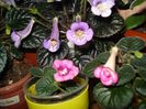 DSC08220