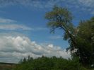 DSCN7949