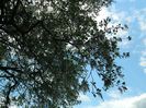 DSCN7995