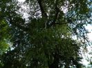DSCN8007