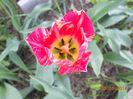 DSCN4895