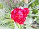 DSCN4898