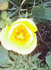 Andwta 028