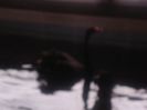 DSC07769