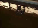 DSC07790