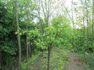 IMG_0355