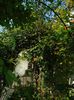 DSC08173