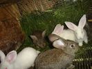 DSC00198