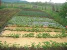 DSC00205