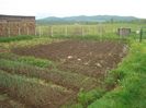 DSC00206