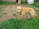 DSC00211