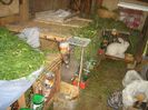 DSC00220