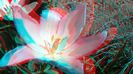 20140421_112626
