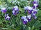 SAM_3671