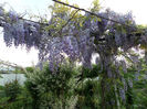 SAM_3789