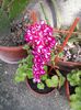 20140504_140630