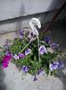 20140504_140623
