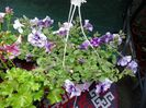 20140504_121045